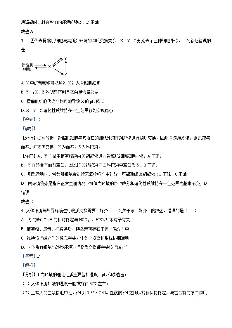 2024成都成华区某校高二上学期12月月考生物试题含解析02