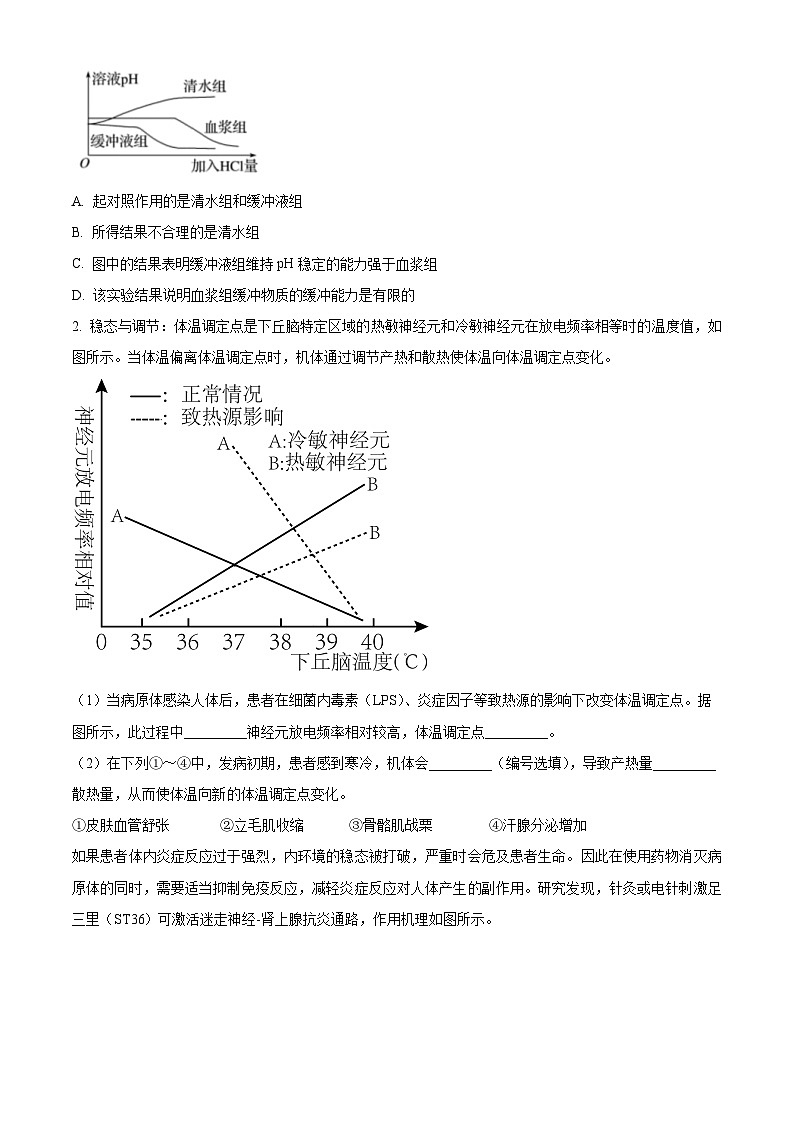 2024上海市东华大学附属奉贤致远中学高二上学期期中考试生物含解析02