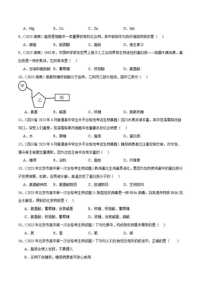 专题02 组成细胞的分子-备战2024年高中学业水平考试生物真题分类汇编02