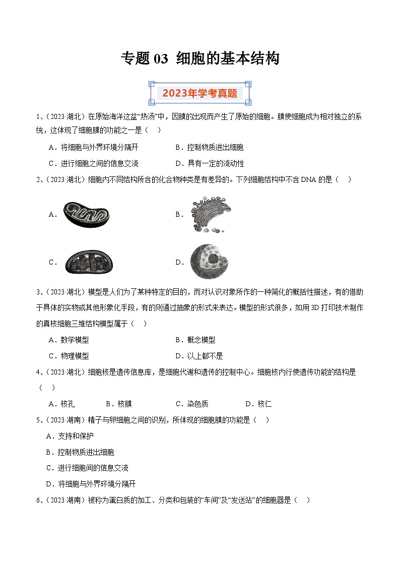 专题03 细胞的基本结构（原卷版）第1页