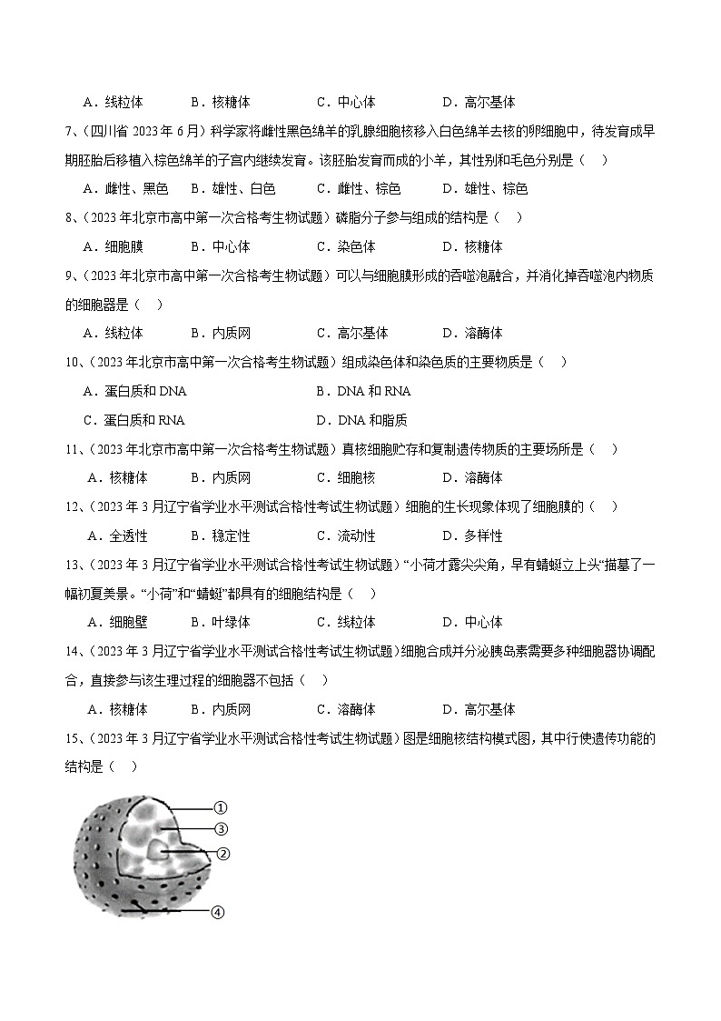 专题03 细胞的基本结构（原卷版）第2页