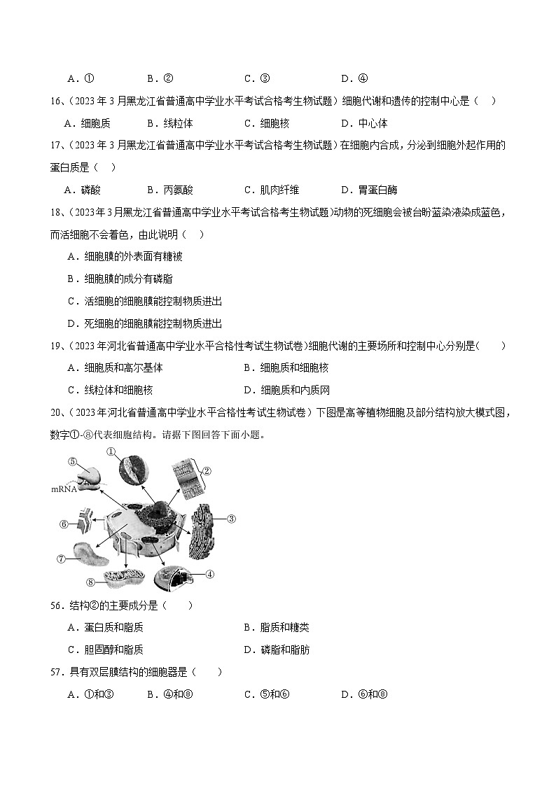 专题03 细胞的基本结构（原卷版）第3页