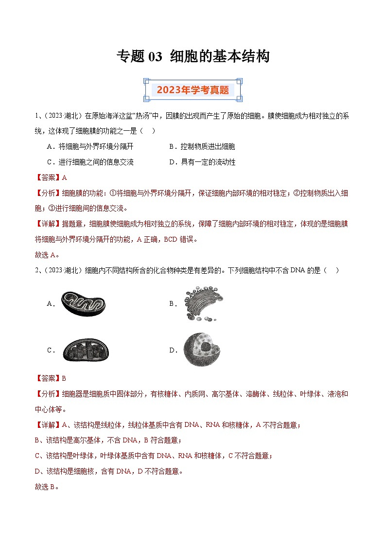 专题03 细胞的基本结构（解析版）第1页