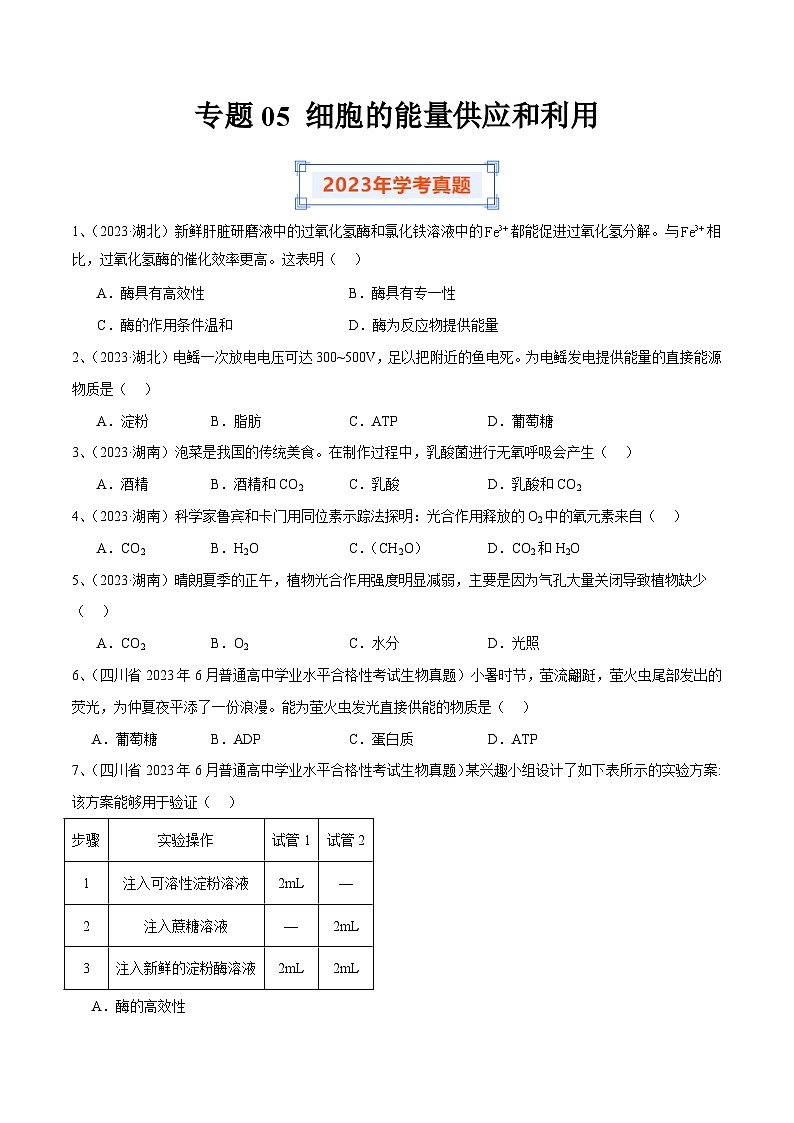 专题05 细胞的能量供应和利用（原卷版）第1页