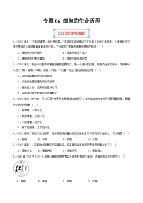 专题06 细胞的生命历程-备战2024年高中学业水平考试生物真题分类汇编