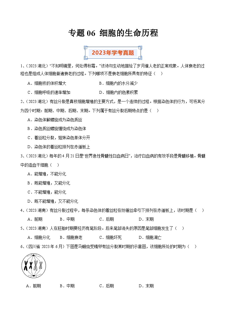 专题06 细胞的生命历程（原卷版）第1页