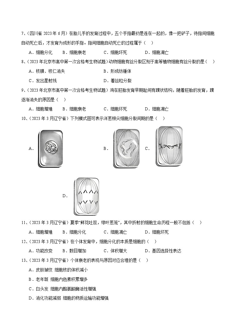 专题06 细胞的生命历程（原卷版）第2页