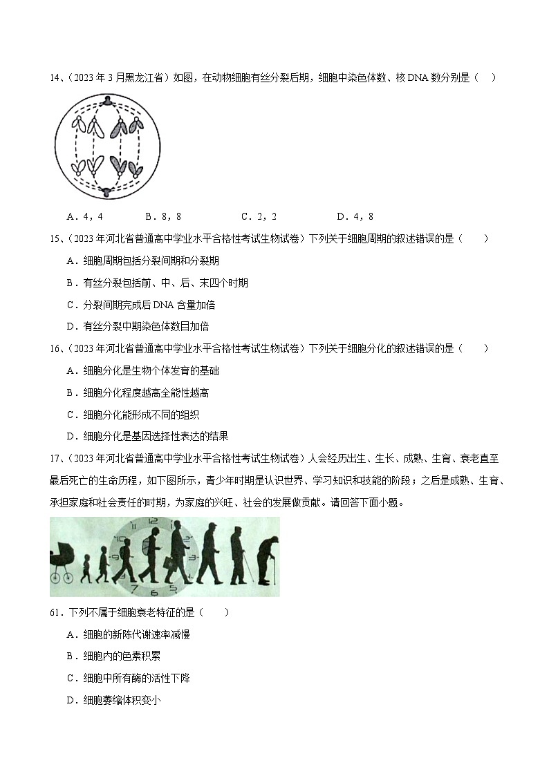 专题06 细胞的生命历程（原卷版）第3页