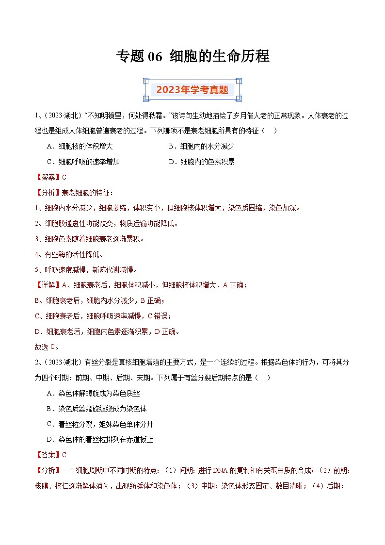 专题06 细胞的生命历程（解析版）第1页