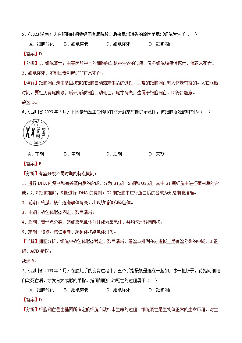 专题06 细胞的生命历程（解析版）第3页