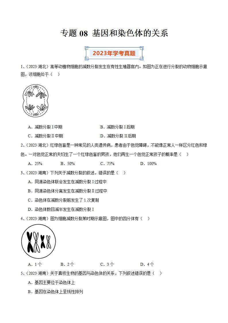 专题08 基因和染色体的关系（原卷版）第1页