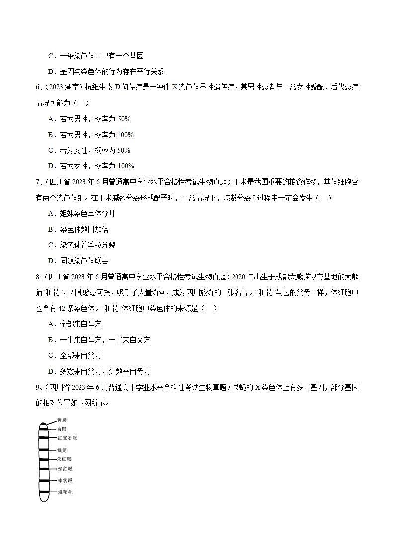 专题08 基因和染色体的关系（原卷版）第2页