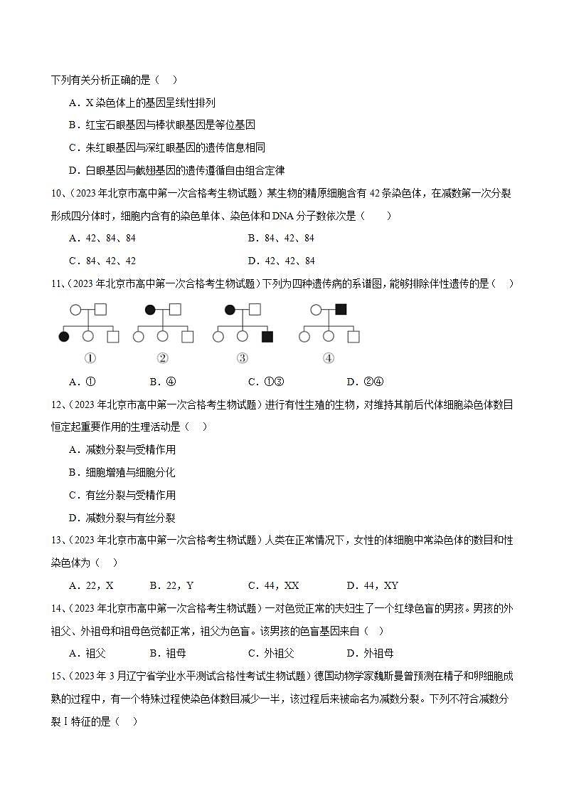 专题08 基因和染色体的关系（原卷版）第3页