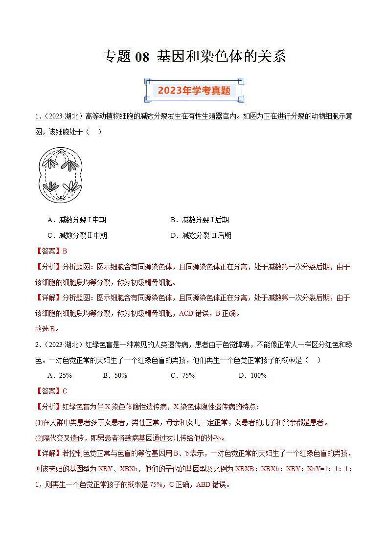 专题08 基因和染色体的关系（解析版）第1页