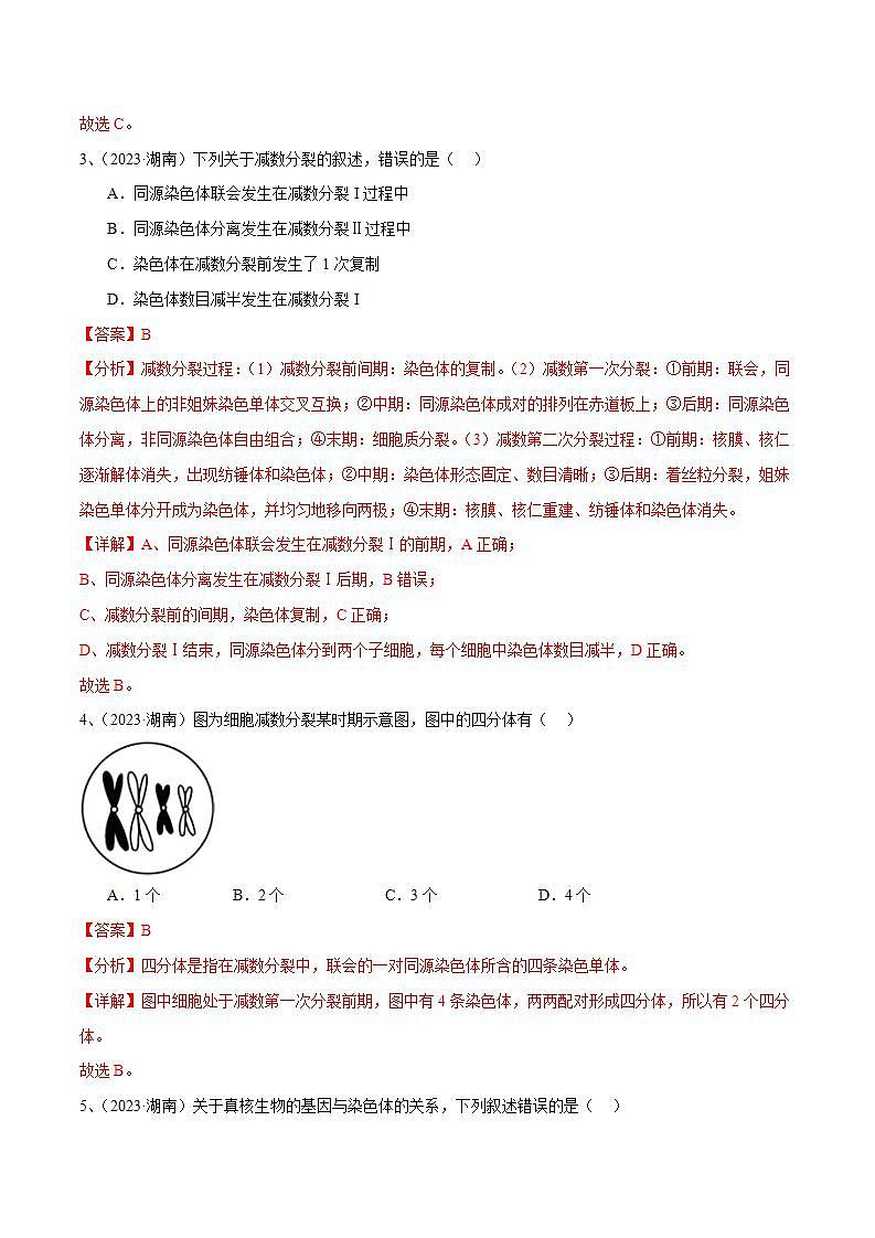 专题08 基因和染色体的关系（解析版）第2页