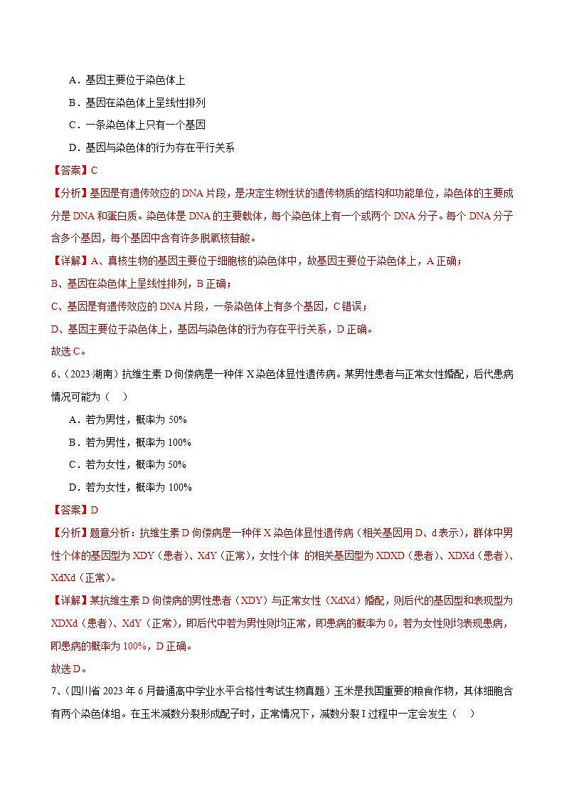 专题08 基因和染色体的关系（解析版）第3页