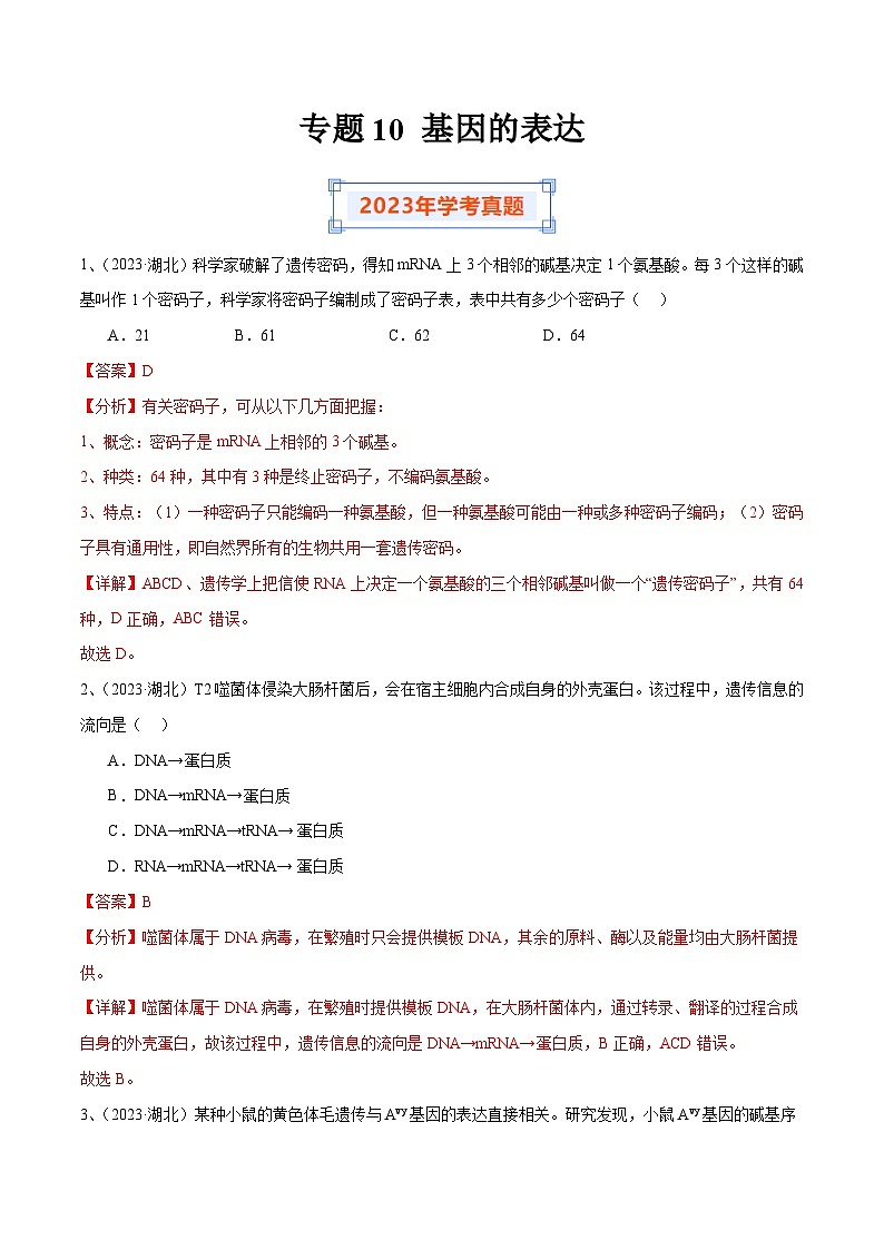 专题10 基因的表达（解析版）第1页