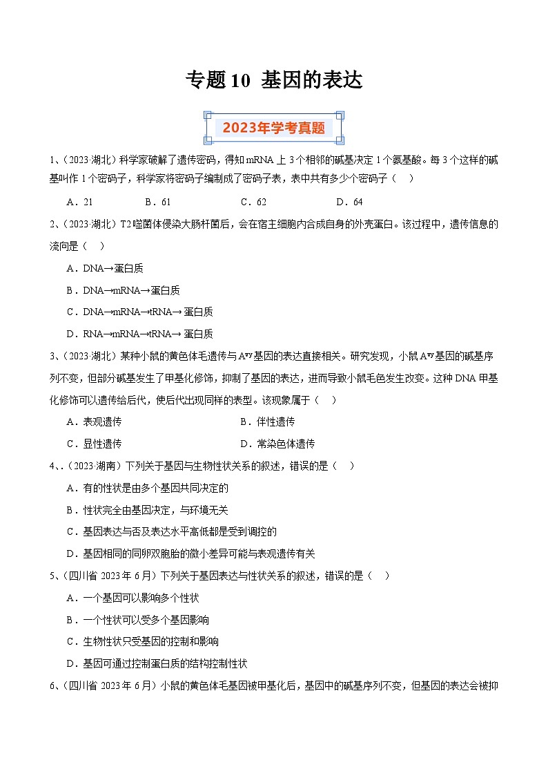 专题10 基因的表达（原卷版）第1页