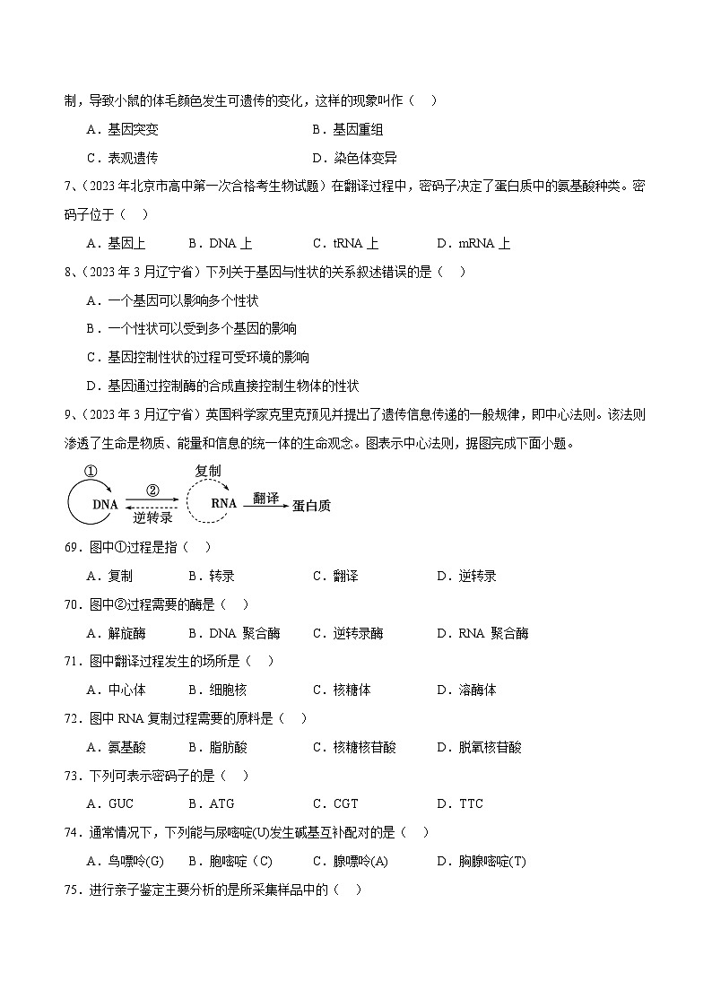 专题10 基因的表达（原卷版）第2页