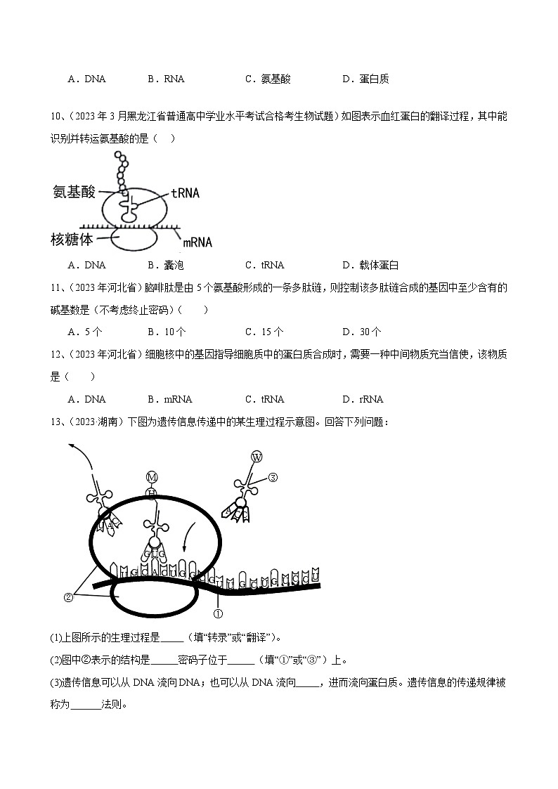 专题10 基因的表达（原卷版）第3页
