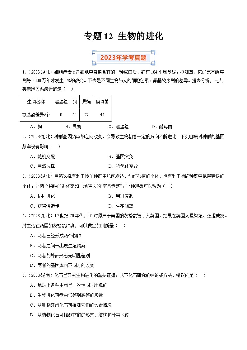 专题12 生物的进化（原卷版）第1页