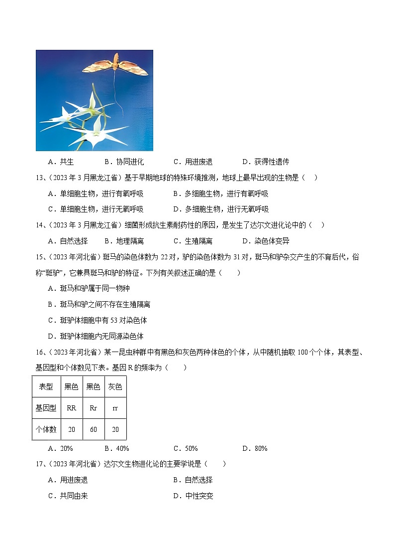 专题12 生物的进化（原卷版）第3页