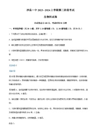 福建省三明市沙县区一中2023-2024学年高一上学期12月月考生物试题（Word版附解析）