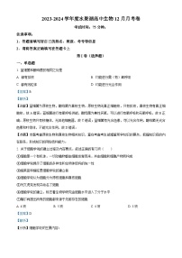 湖北省武汉市水果湖高级中学2023-2024学年高三上学期12月月考生物试题（Word版附解析）