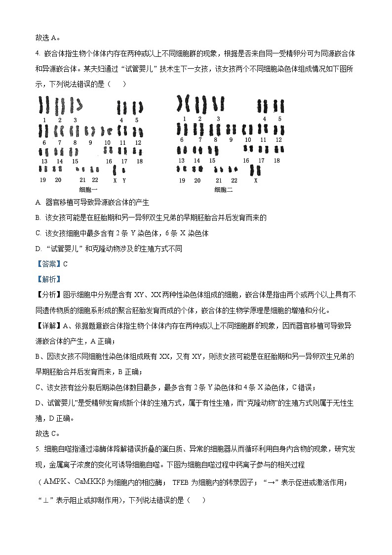 湖北省宜荆荆随恩2023-2024学年高三上学期12月联考生物试题（Word版附解析）03