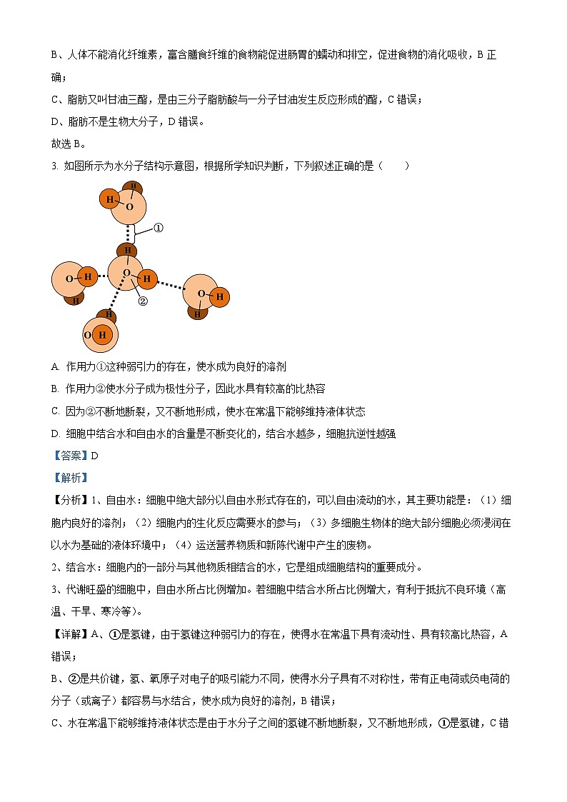 湖北省重点高中智学联盟2023-2024学年高一上学期12月联考生物试题（Word版附解析）第2页