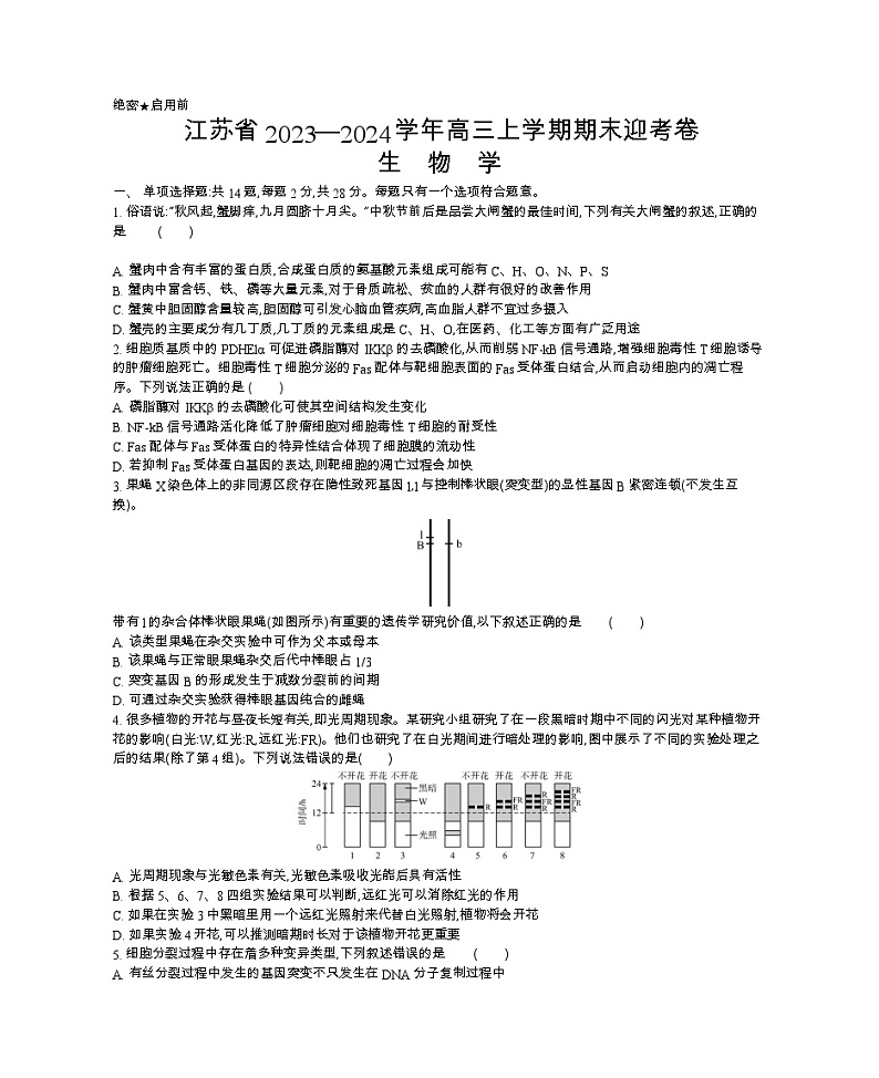 江苏省2023-2024学年高三上学期期末迎考生物试卷（Word版附解析）01