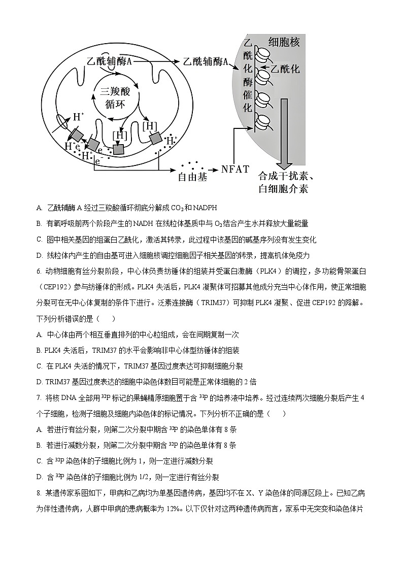 山东省实验中学2024届高三上学期第三次诊断考试生物试题（Word版附答案）03