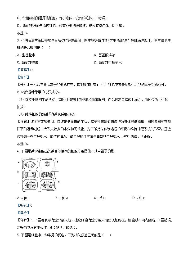 四川省绵阳中学2023-2024学年高一上学期期末模拟测试生物试题（Word版附解析）03
