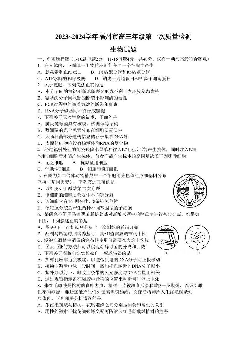 2024福州市高三年级第一次质量检测生物试卷（附答案）01