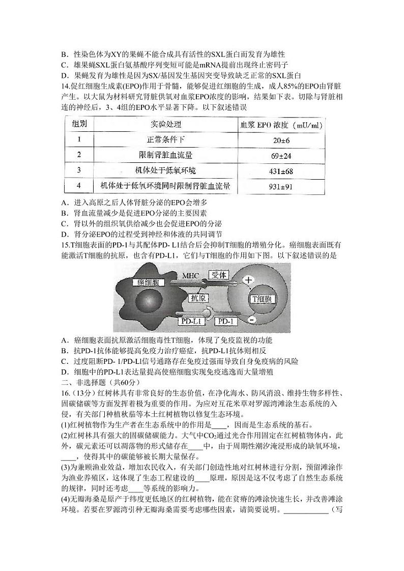 2024福州市高三年级第一次质量检测生物试卷（附答案）03