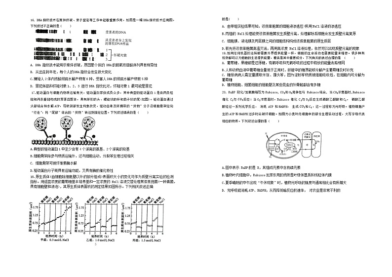 辽宁省实验中学2023-2024学年高一上学期12月月考生物试题（Word版附答案）第3页