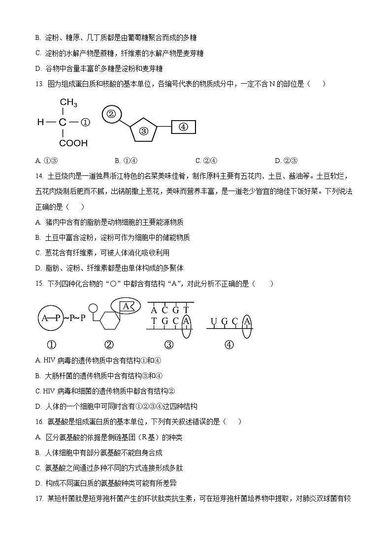 四川省成都市成华区某校2023-2024学年高一上学期12月月考生物试题（Word版附解析）第3页