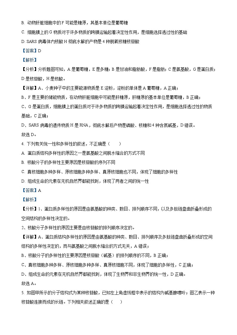 四川省射洪中学校2023—2024学年高一（强基班）上学期第三次月考生物试题（Word版附解析）03