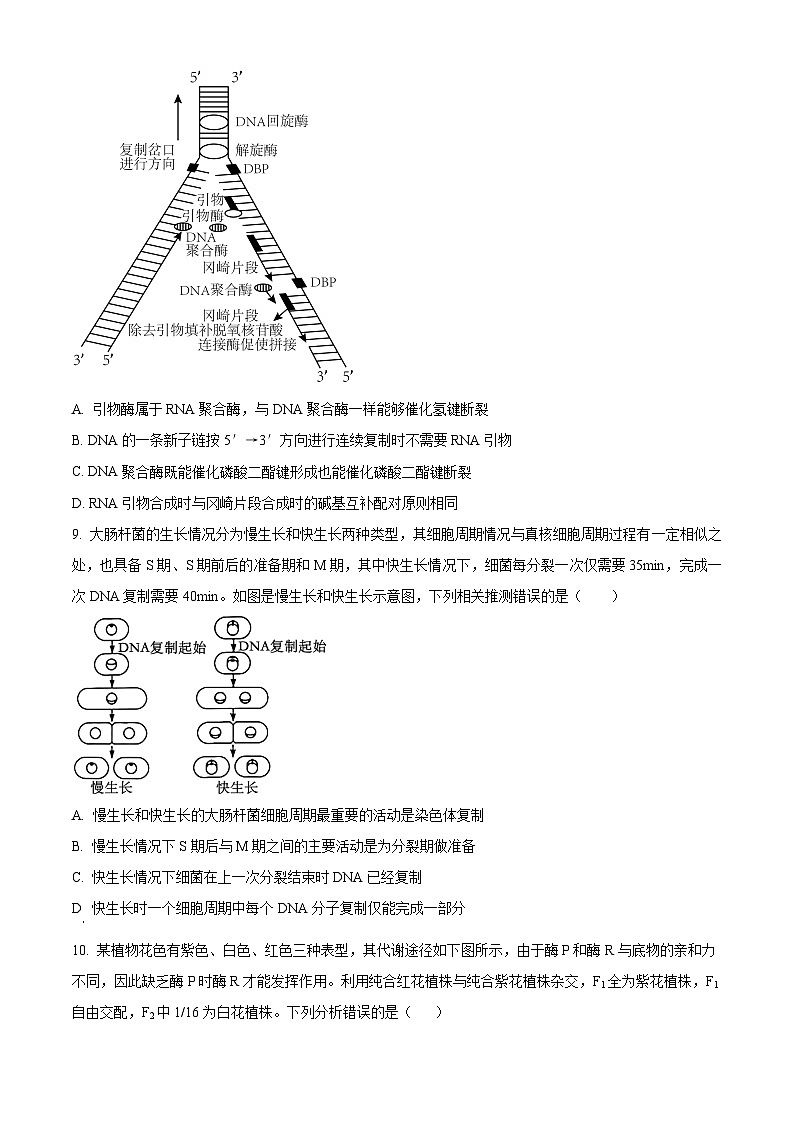 2024届山东省潍坊市昌乐第一中学高三上学期模拟预测生物试题03
