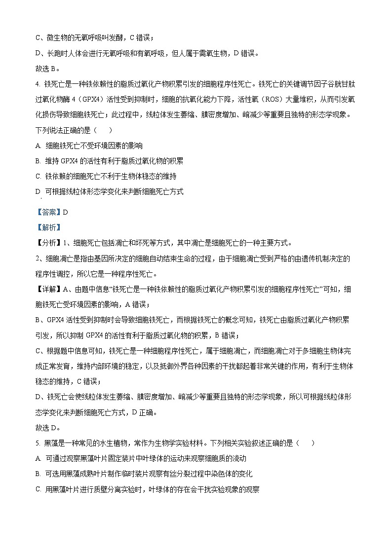 2024届山东省潍坊市昌乐第一中学高三上学期模拟预测生物试题03