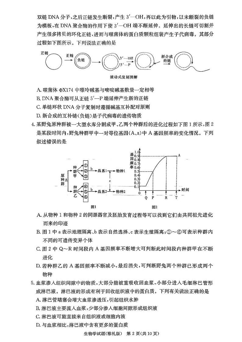 生物试卷（雅礼4次）第2页