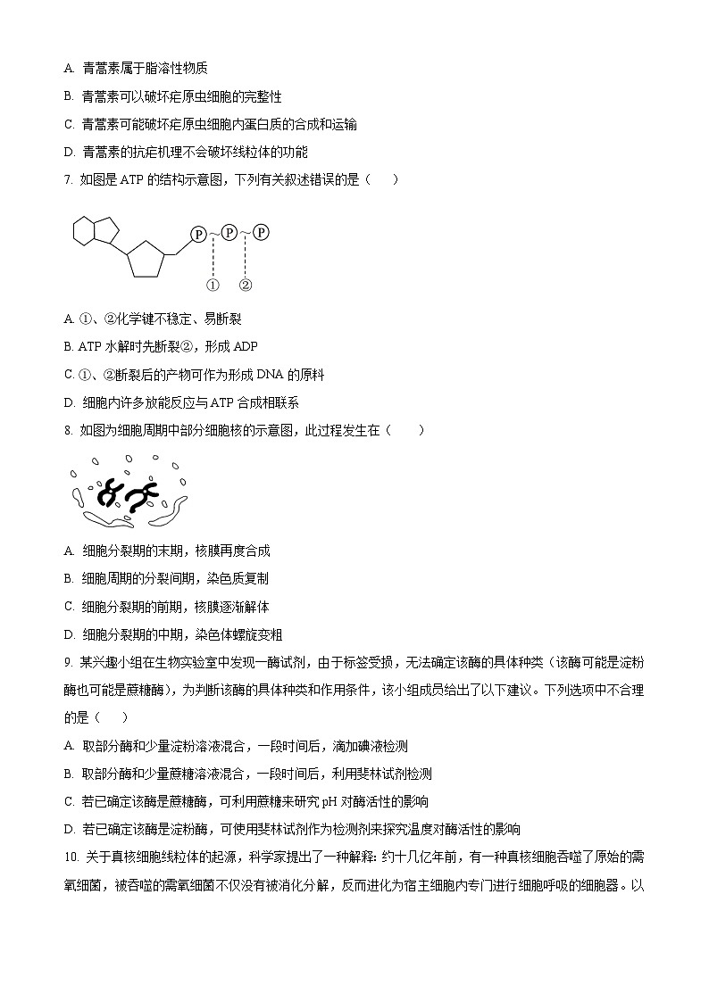 福建省厦门市第六中学2023-2024学年高一上学期1月月考生物试题（Word版附解析）02