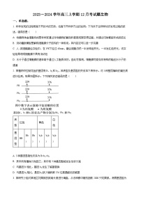 河南省南阳市新野县第一高级中学2023-2024学年高三上学期12月月考生物试题（Word版附解析）