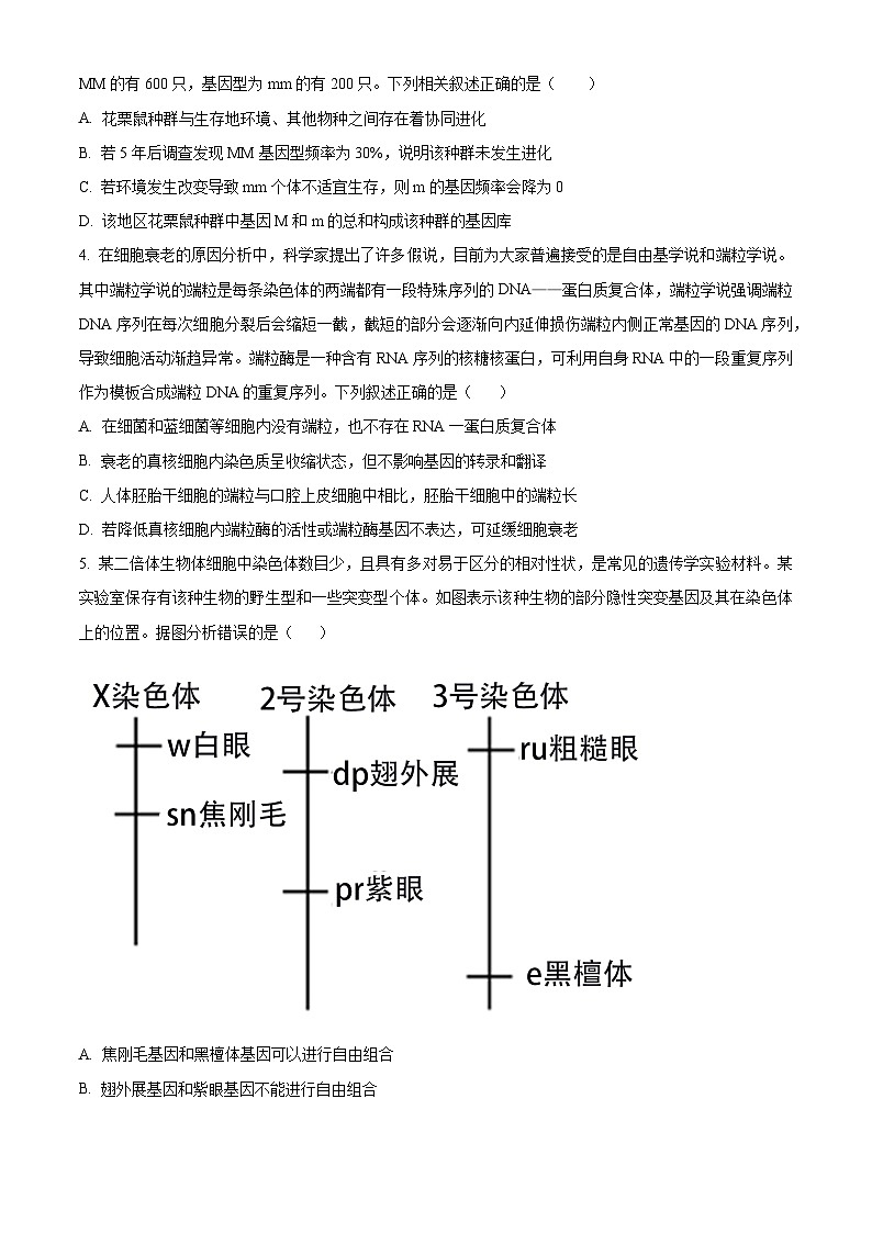 河南省南阳市新野县第一高级中学2023-2024学年高三上学期12月月考生物试题（Word版附解析）02
