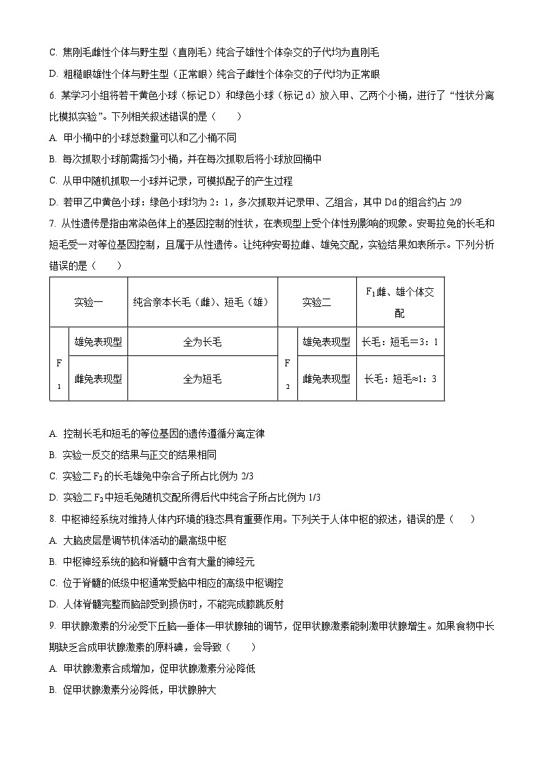 河南省南阳市新野县第一高级中学2023-2024学年高三上学期12月月考生物试题（Word版附解析）03