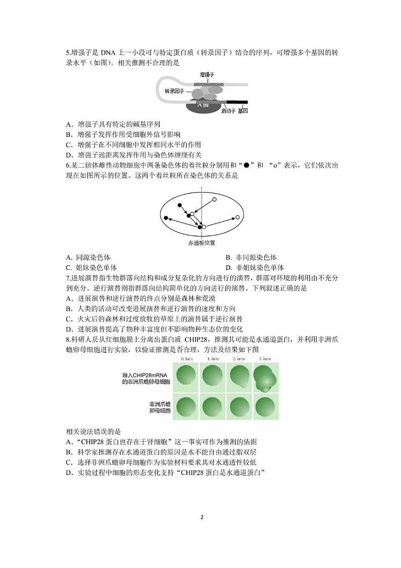 2024泉州一中高三上学期12月月考生物试题第2页