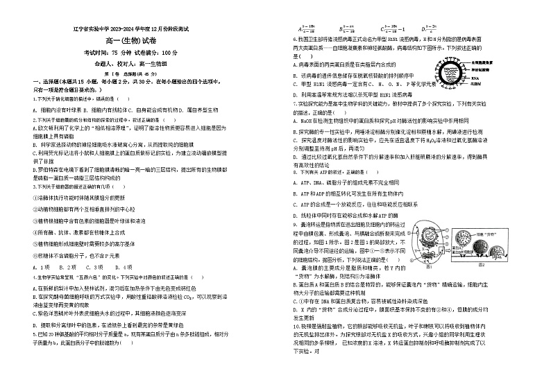 2024辽宁省实验中学高一上学期12月月考试题生物含答案01