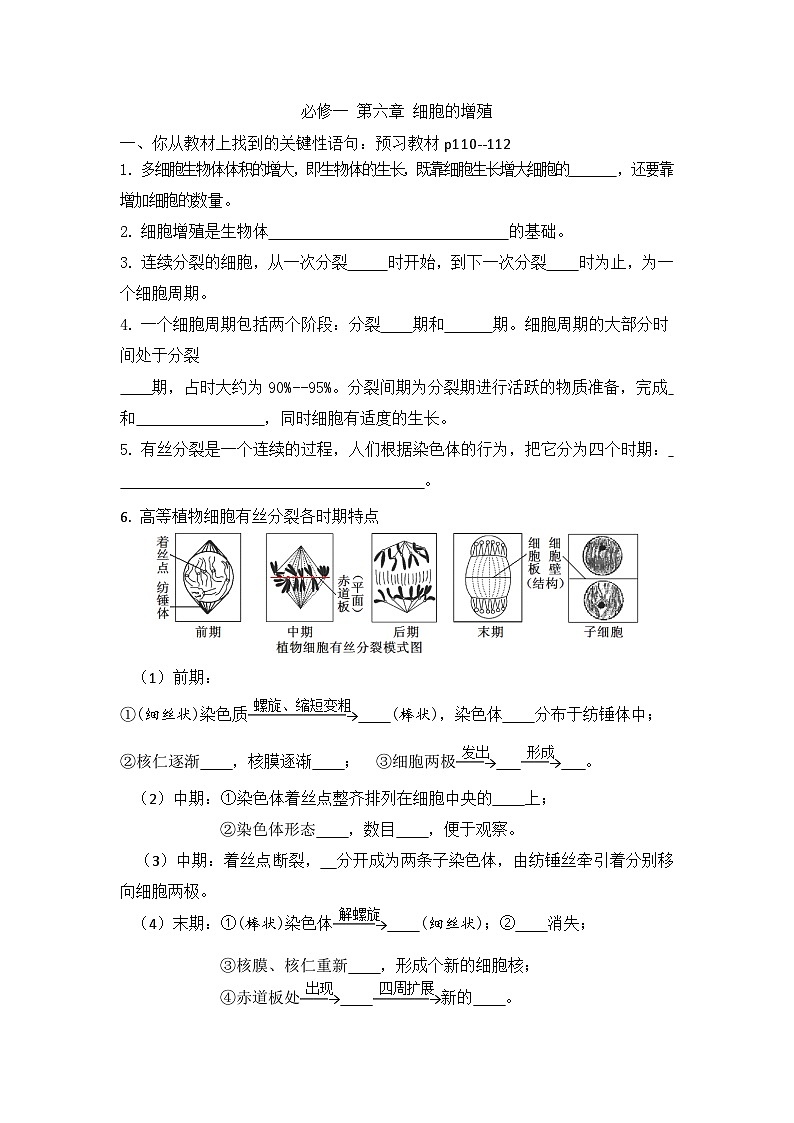 高三生物一轮复习导学案细胞的增殖第1页