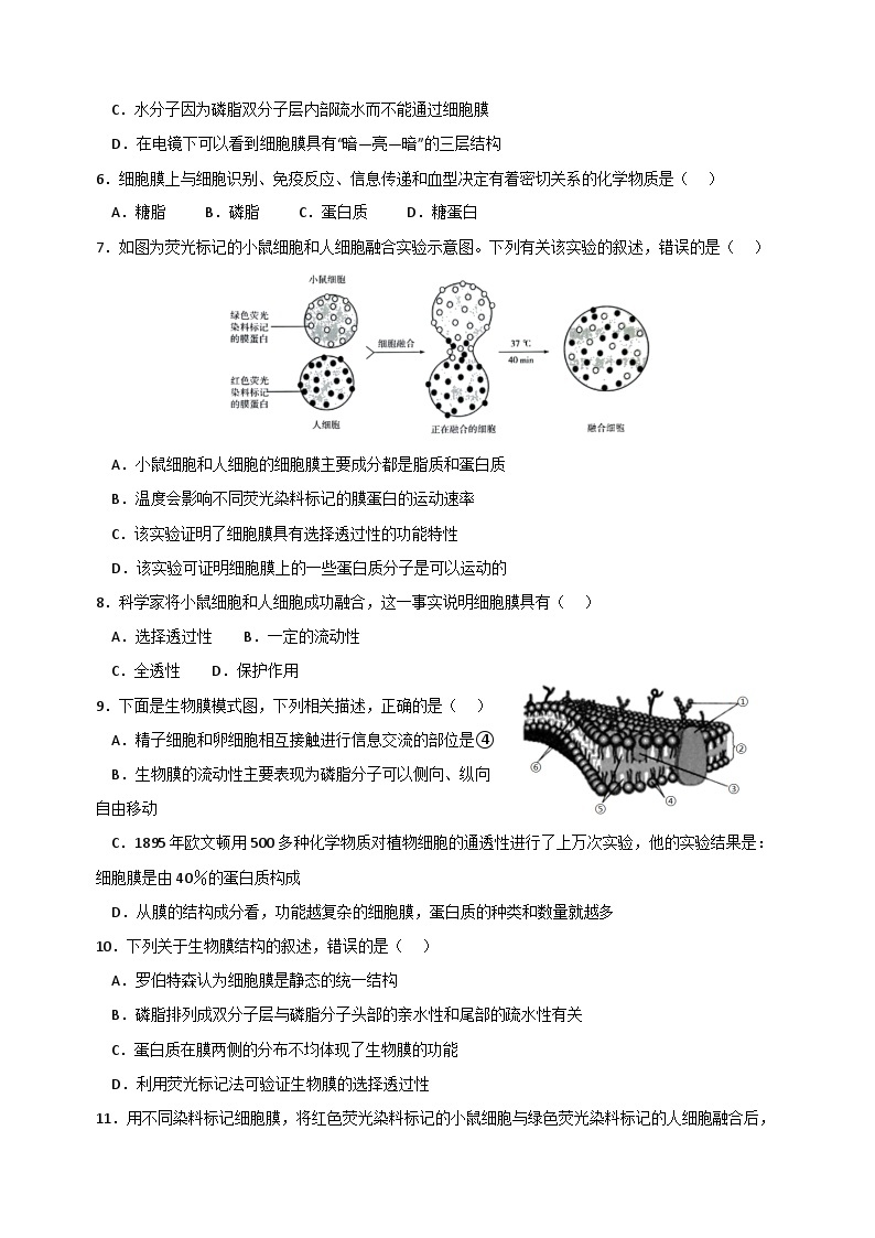 3.1  细胞膜的结构和功能（第2课时）学案  高中生物人教版必修103