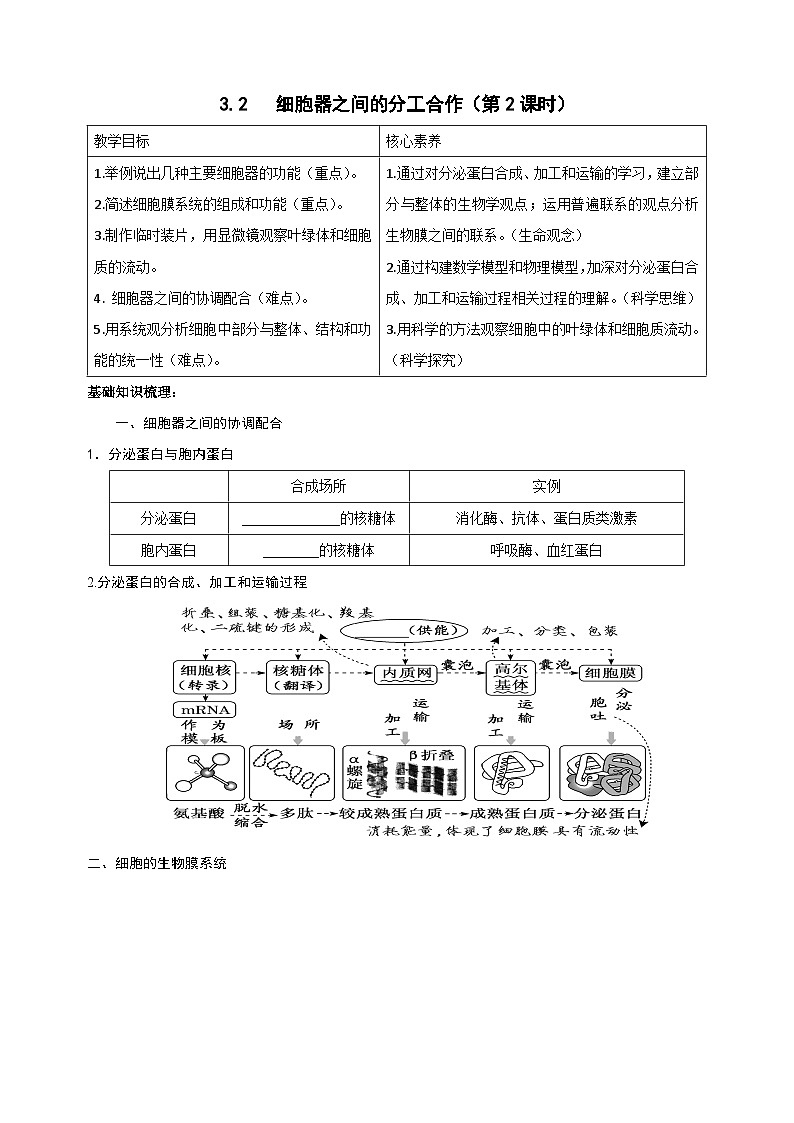 3.2细胞器之间的分工合作第2课时导学案 高中生物人教版必修101